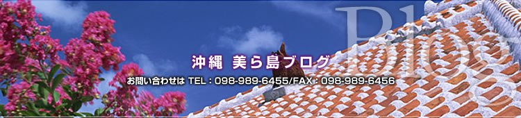 沖縄美ら島不動産が美ら島ブログでお届けする、旬な沖縄の不動産情報/住宅情報や、今の沖縄の様子。