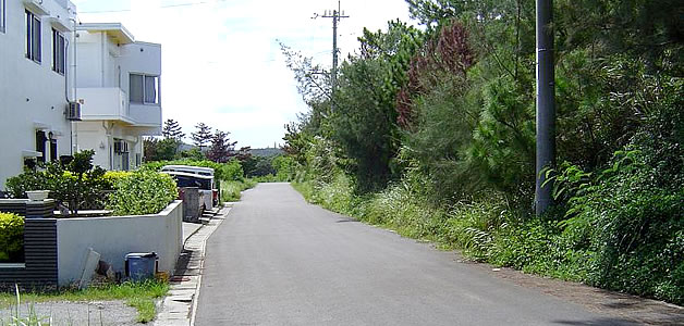 沖縄売買不動産 土地 「うるま市石川」の写真1。高速道路が近くにあっても、このように緑の緩衝帯がありほとんど気になりません。むしろ静かな環境でありつつICの入口までもすぐに行けますので、交通の利便性もとても高いと思われます。。